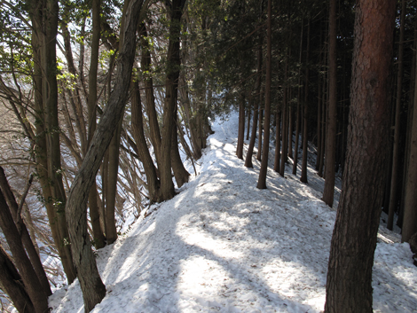 20180126hike (128)
